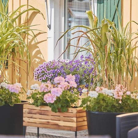 Bjoerkbackens Vandrarhem I Vimmerby Exterior foto